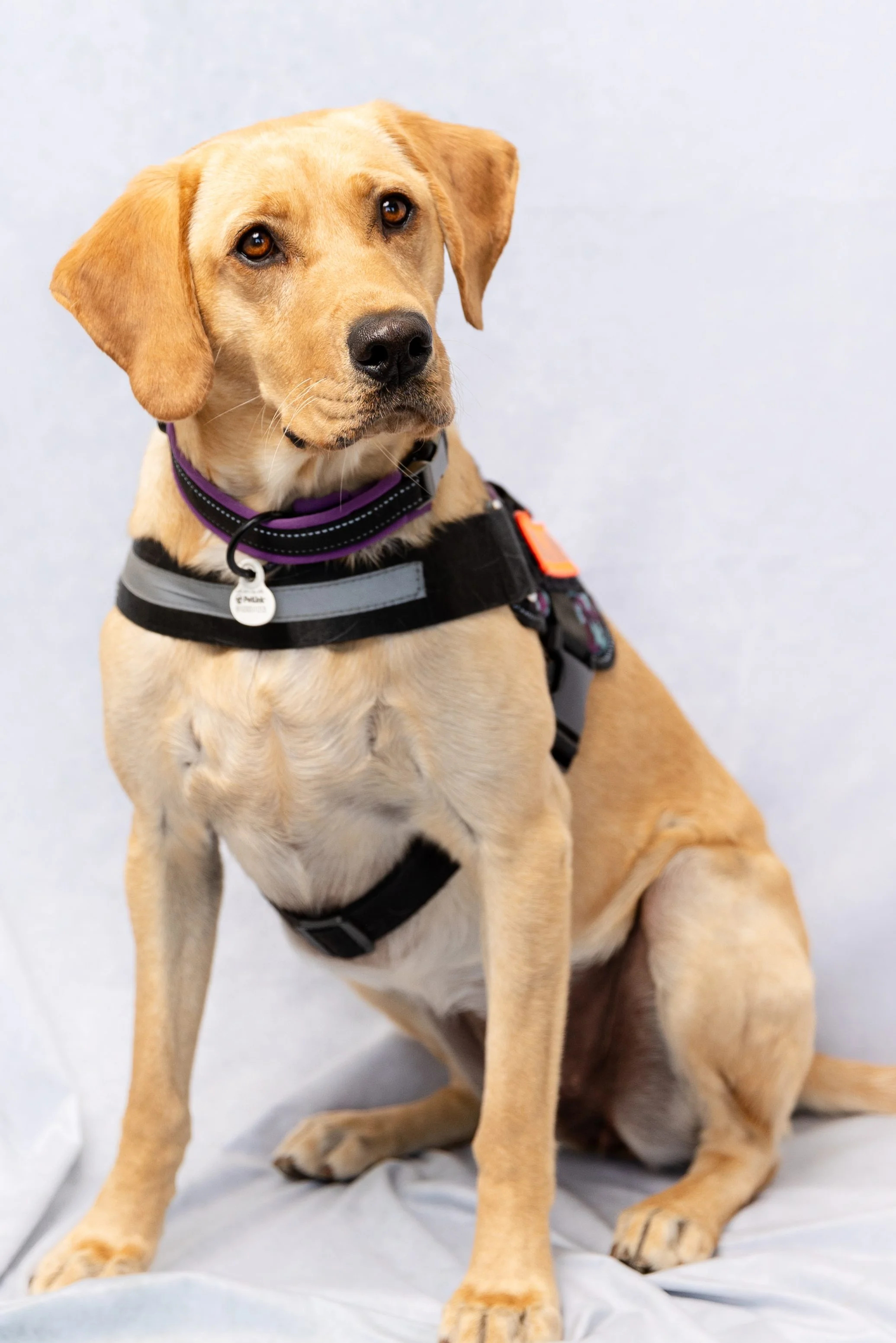 Photo of Otillia "Tilly" Dunning